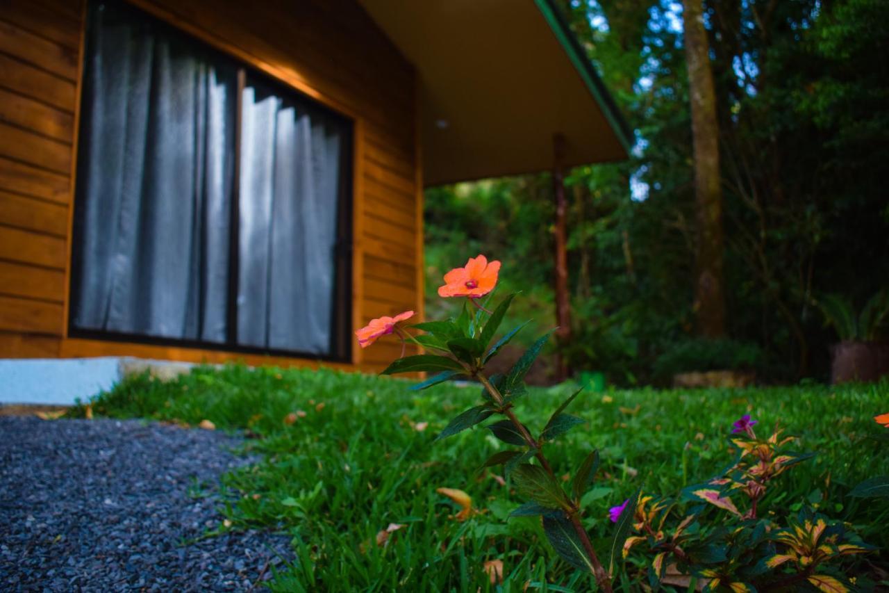 Cabanas Lys Monteverde Exterior photo