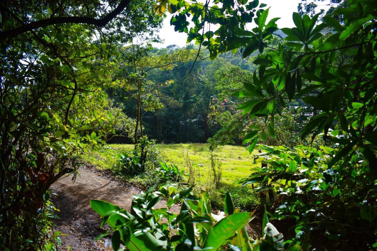 Cabanas Lys Monteverde Exterior photo